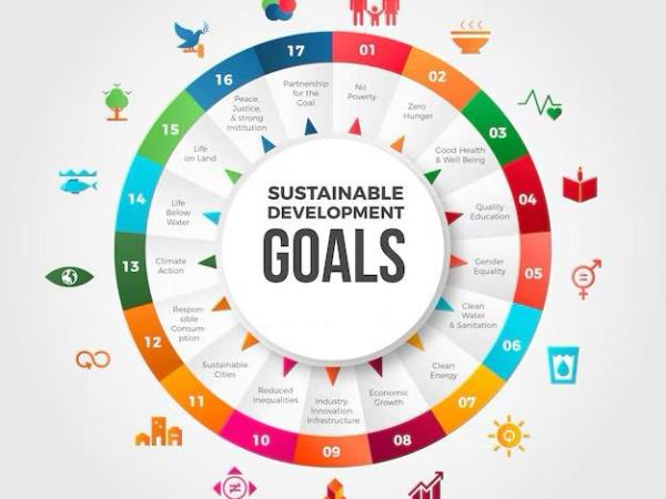 Achieving SDGs through Competitive Markets: A Case Study on the Jan Aushadhi&nbsp;Scheme