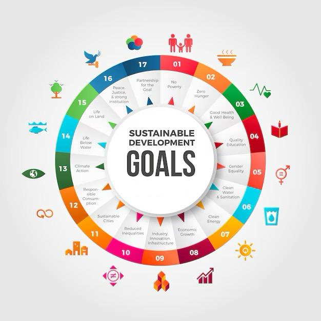 Achieving SDGs through Competitive Markets: A Case Study on the Jan Aushadhi Scheme